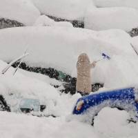 snow-damage-measures